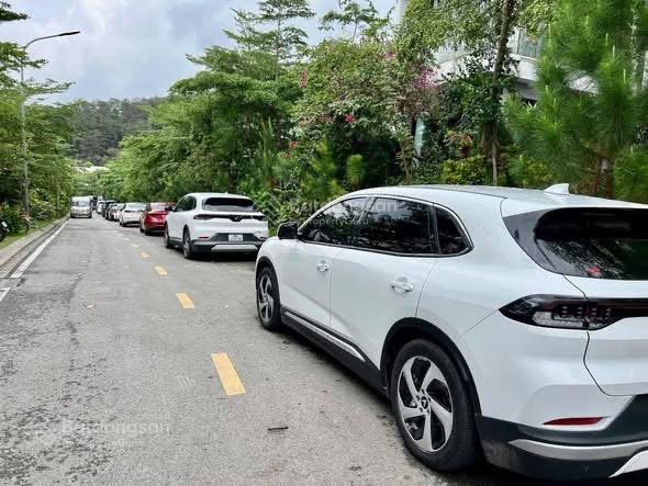 Bán đất nền 250 m2 có sổ hồng thuộc dự án flamingo đại lải resort, vĩnh phúc cũ