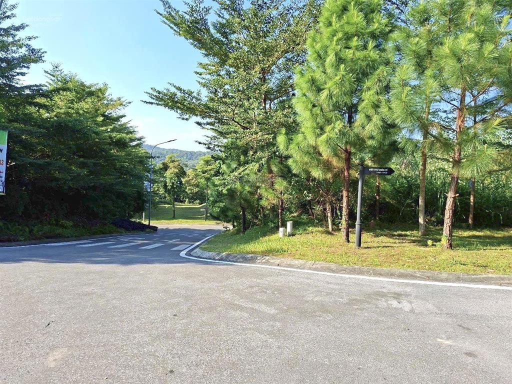 Bán đất nền 250 m2 có sổ hồng thuộc dự án flamingo đại lải resort, vĩnh phúc cũ