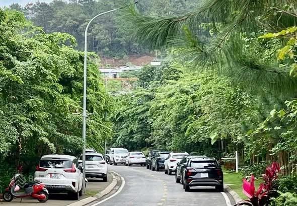 Bán đất nền 250 m2 có sổ hồng thuộc dự án flamingo đại lải resort, vĩnh phúc cũ