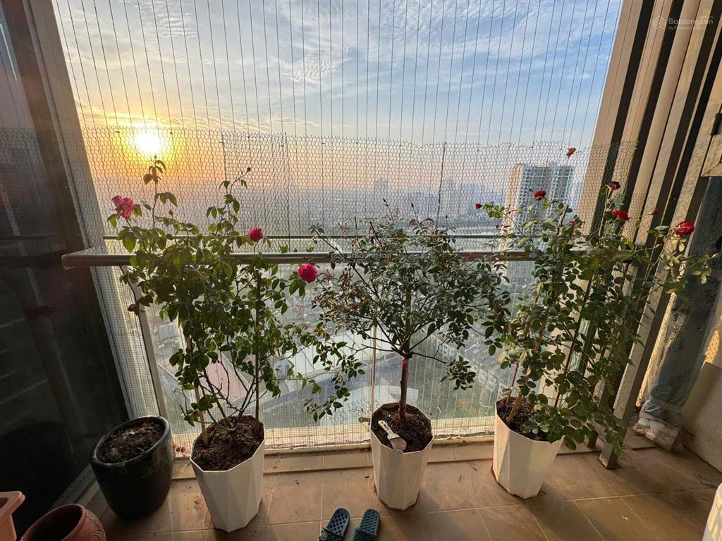 Chính chủ cần bán nhanh căn hộ chung cư 3 phòng ngủ tại chung cư tsq
