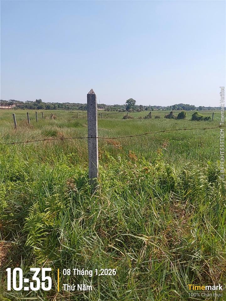 Kẹt tiền bán gấp lô đất 512m2, gần đường bến than. cách chợ tân thạnh đông 3p chạy xe. 0947 188 ***