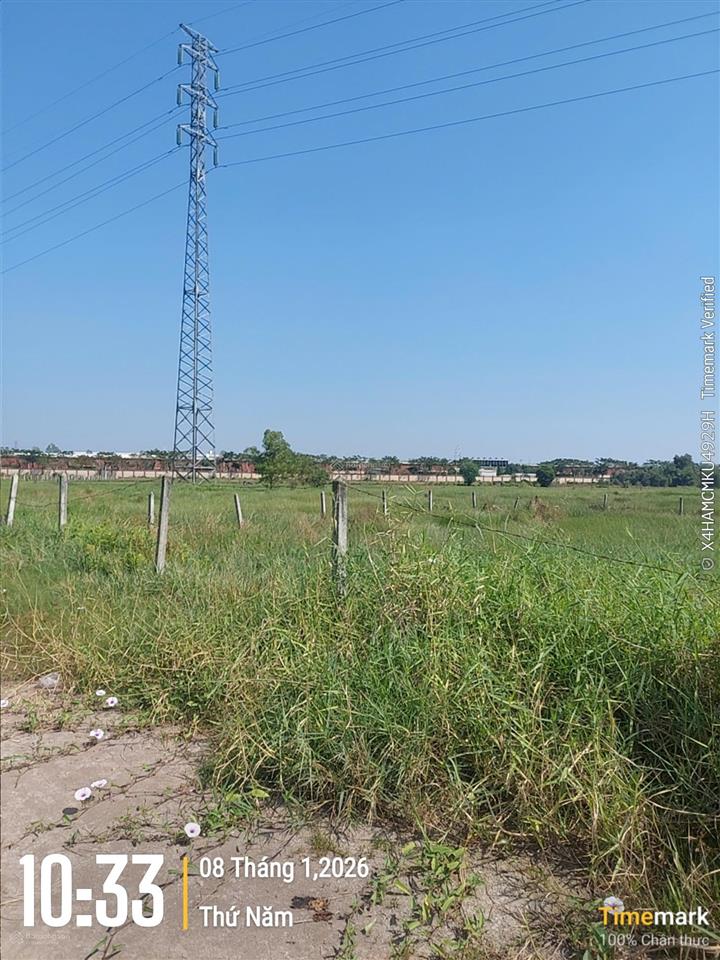 Kẹt tiền bán gấp lô đất 512m2, gần đường bến than. cách chợ tân thạnh đông 3p chạy xe. 0947 188 ***