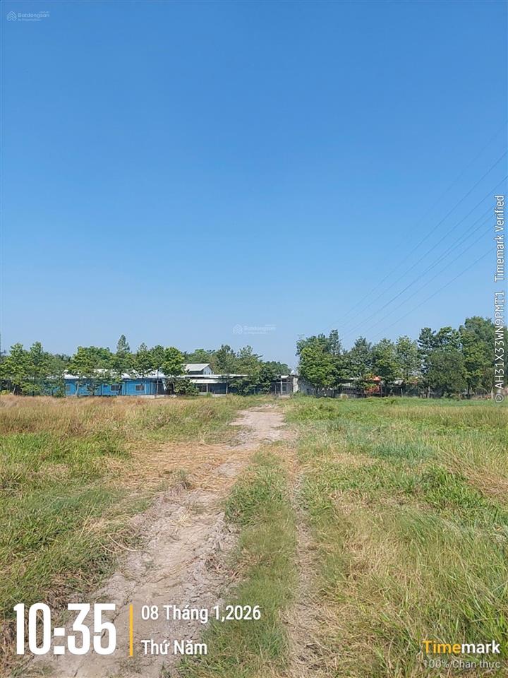 Kẹt tiền bán gấp lô đất 512m2, gần đường bến than. cách chợ tân thạnh đông 3p chạy xe. 0947 188 ***