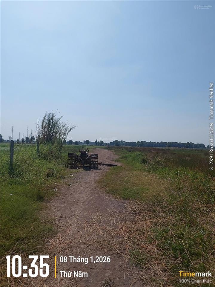 Kẹt tiền bán gấp lô đất 512m2, gần đường bến than. cách chợ tân thạnh đông 3p chạy xe. 0947 188 ***