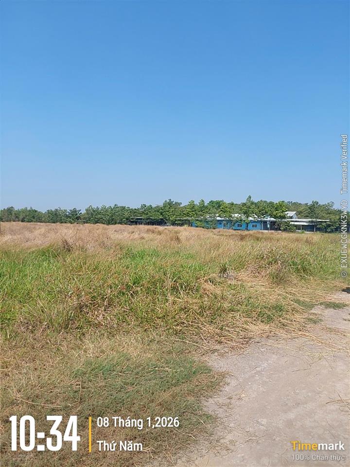 Kẹt tiền bán gấp lô đất 512m2, gần đường bến than. cách chợ tân thạnh đông 3p chạy xe. 0947 188 ***