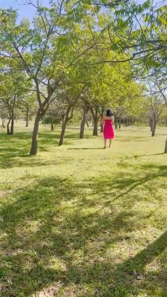 Bán farm 205,417m2 (20.5 ha) ninh thuận gần cao tốc bắc  nam