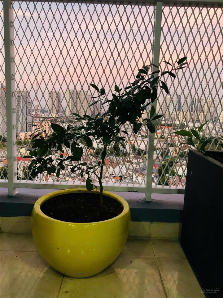 Bán căn hộ 3pn, 2wc tại 59, đường 4, an phú, thủ đức, giá ưu đãi chỉ với 7,5 tỷ