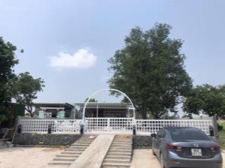 Cần bán căn nhà mới mặt tiền nở hậu cách sân bay phan thiết 5km (thung lũng sân bay)