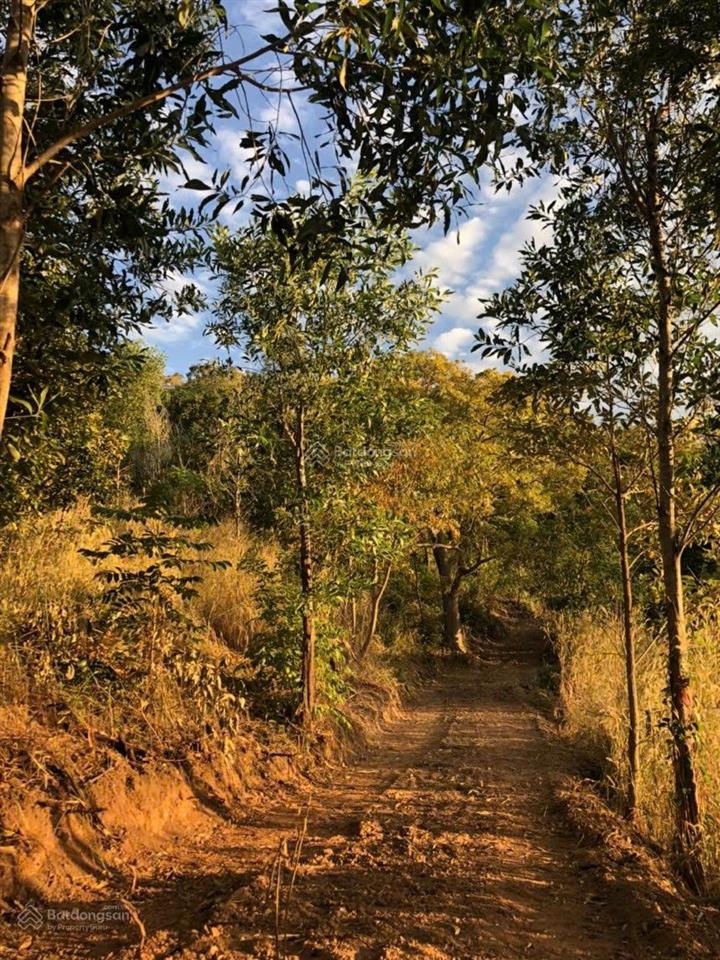 Chính chủ bán mảnh đất view đẹp, tiềm năng chỉ cách phan thiết 18km, gần hàm liêm