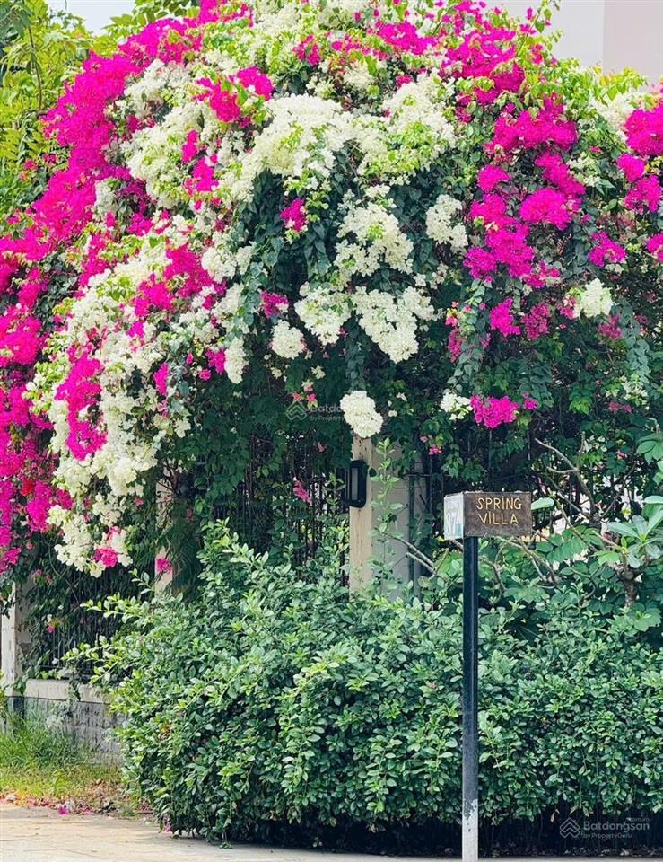 Mình cần bán villa hồ bơi sân vườn mặt tiền đường số thành mỹ lợi tp. thủ đức đảo kim cương quận 2