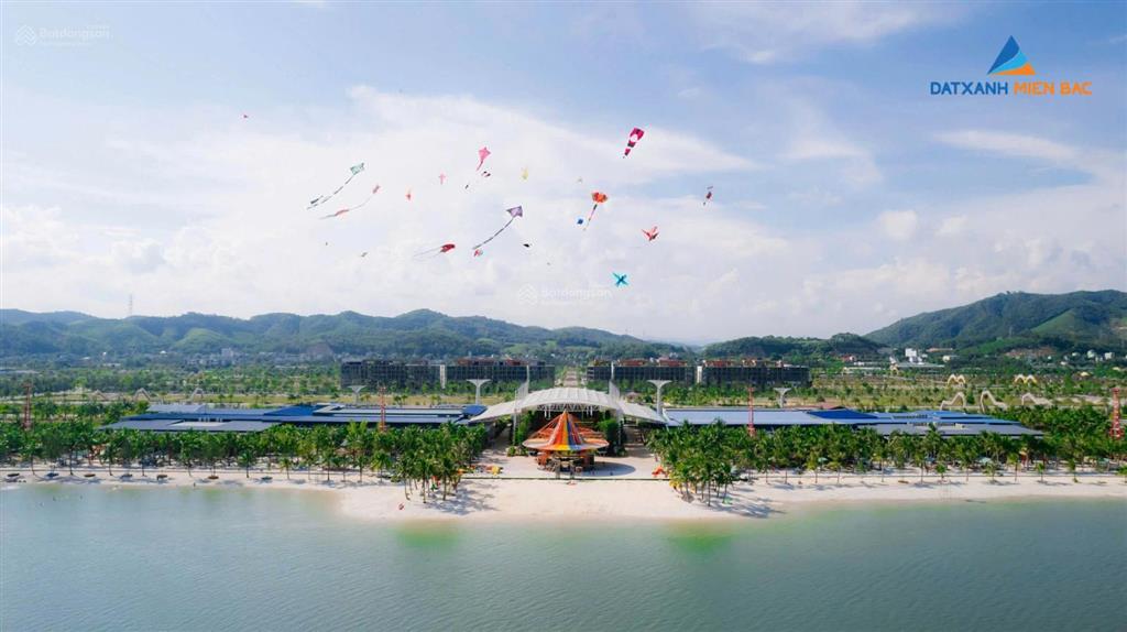 (cc) cđt mở cổng nhận đặt chỗ chính thức dự án vân bay vân đồn