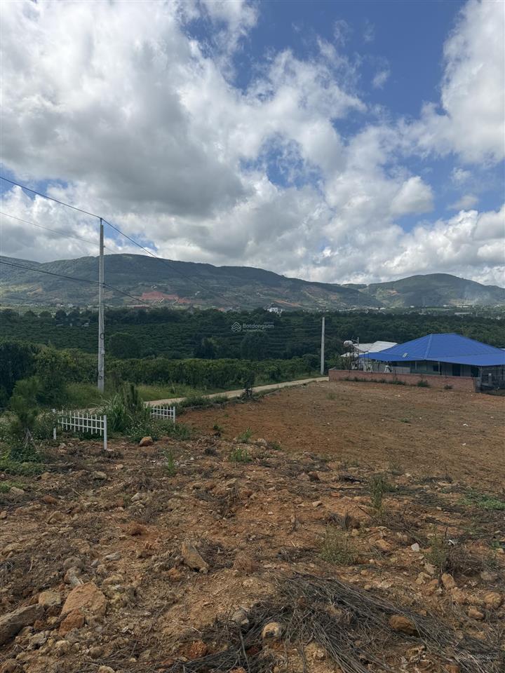 Lô đất nghỉ dưỡng ven đà lạt sổ riêng hơn 400m thổ cư 200m view toàn cảnh nam ban giá rẻ