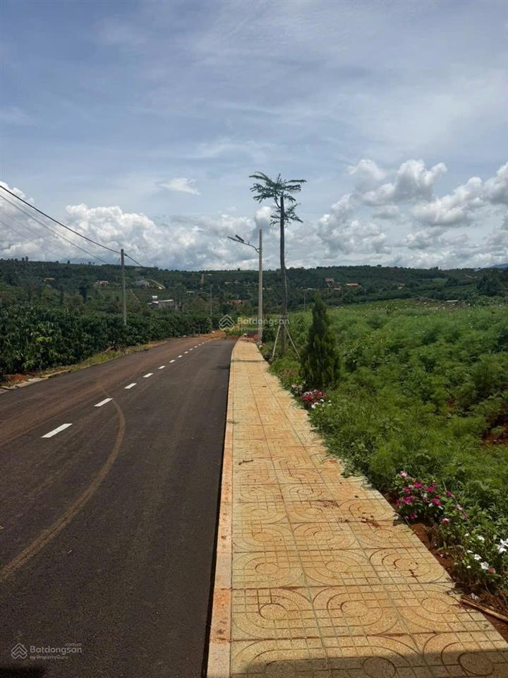 Bán 576m thổ cư, 98m đường nhựa, vỉa hè, view cao thoáng mát mẻ, giá chỉ 489tr