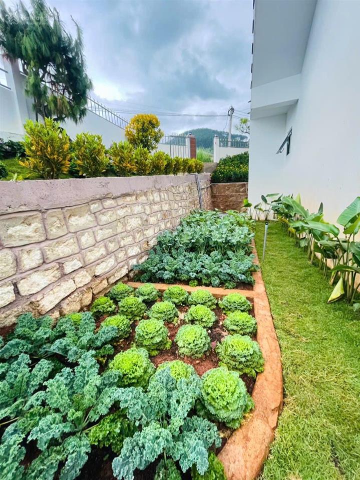 Bán căn village nghỉ dưỡng ven đà lạt thiết kế đẹp sang trọng đầy đủ nội thất chỉ 3,65 tỷ