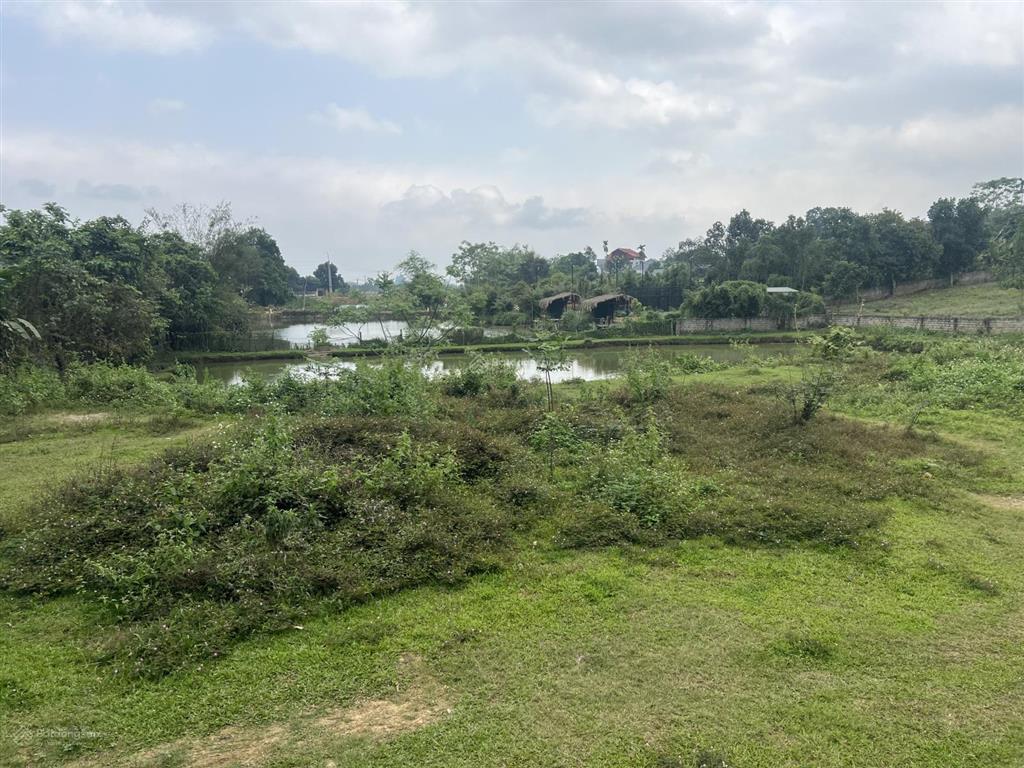 Chính chủ gửi bán gấp lô đất 3054m2 thôn chóng, xã yên bài, hà nội