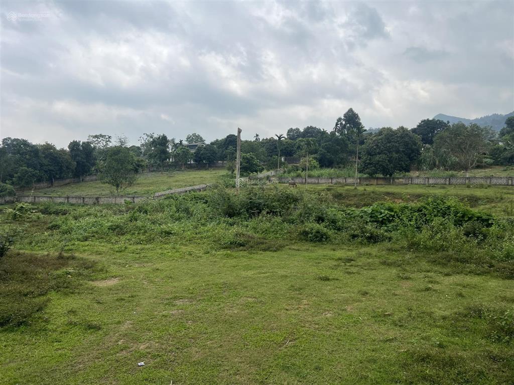 Chính chủ gửi bán gấp lô đất 3054m2 thôn chóng, xã yên bài, hà nội