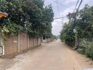 Cần bán 210m2 trục chính thôn muỗi, xã yên bài, ba vì (cũ)