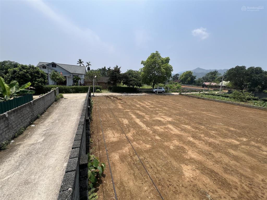 Chính chủ gửi bán đất đẹp tại yên bài, ba vì, hà nội, 14 triệu / m2, 325 m2 có 150m2 đất ở