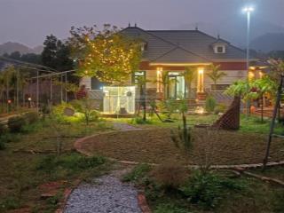 Bán nhà và đất làm cà phê vườn, homestay