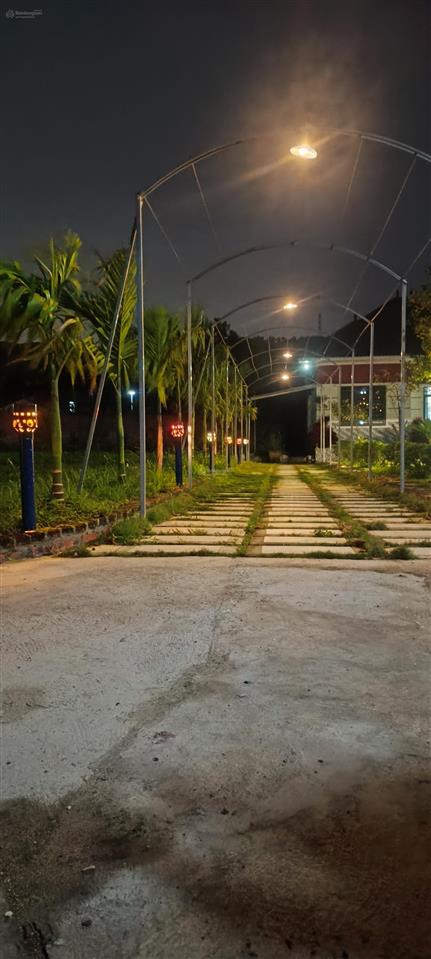 Bán nhà và đất làm cà phê vườn, homestay