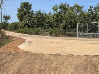 Bán gần 5000m2 đất tại khu dân cư xã la ngà, huyện định quán, đồng nai