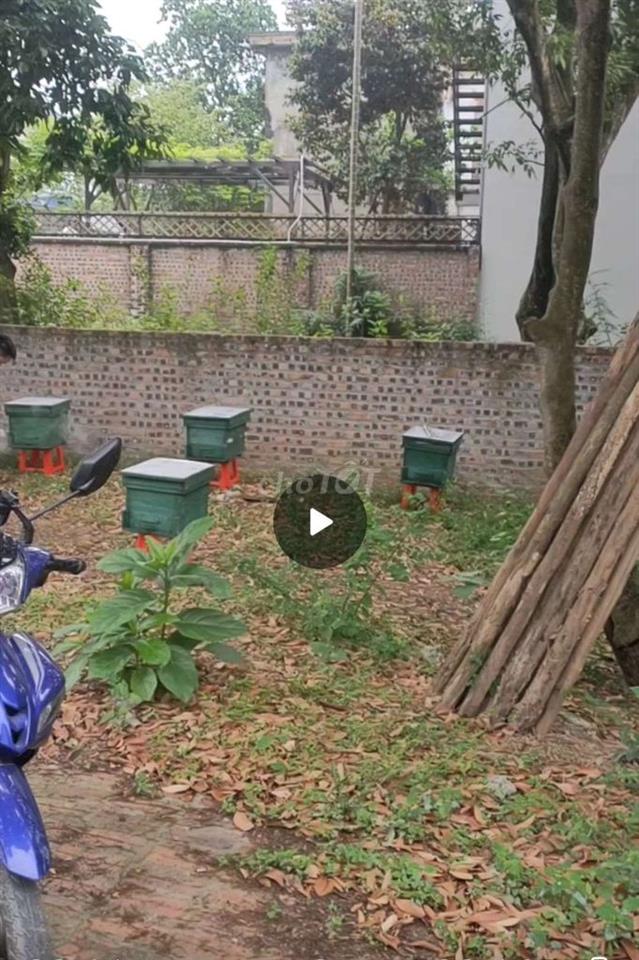 chính chủ bán đất thổ cư sổ hồng mới 2026