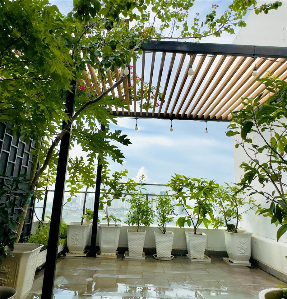 Căn hộ sân vườn, view trọn trung tâm, 80m2 thông thủy + 36m2 sân vườn, hàng hiếm