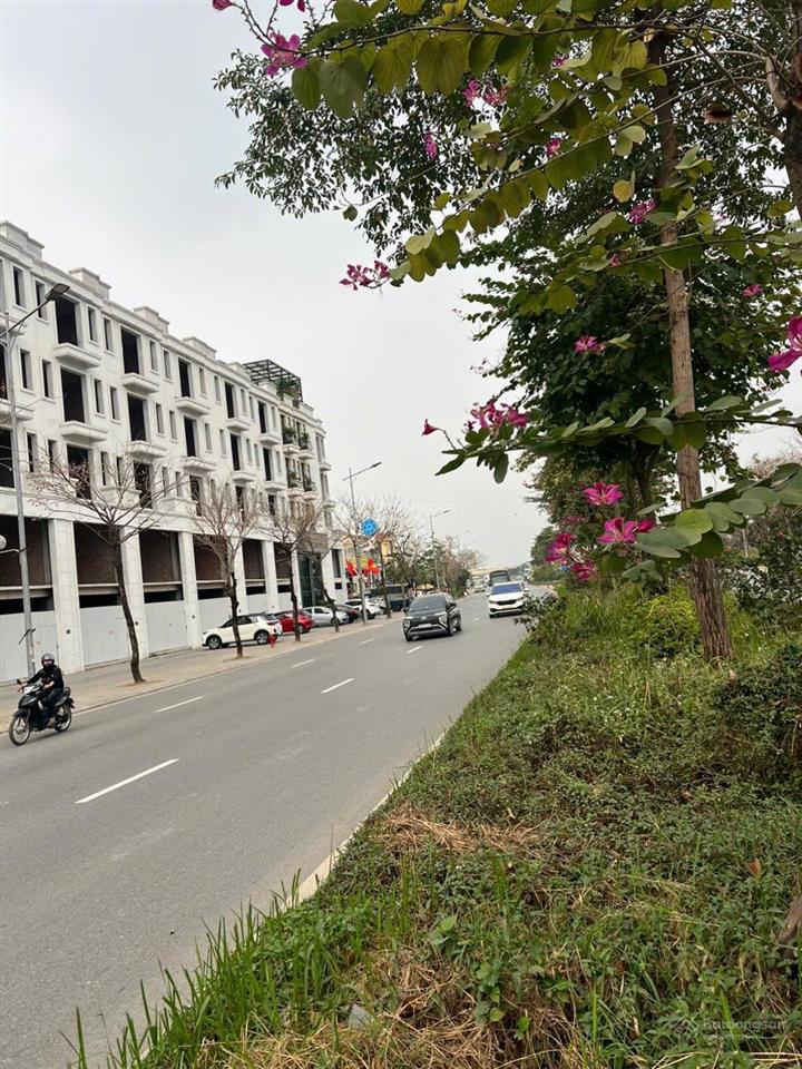Cần bán gấp nhà mp lý thánh tông dt 94,5m2 /2 mt 5m xây 6 tầng kinh doanh tốt, sổ đỏ giá đầu tư