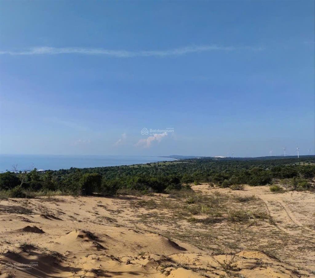 Sở hữu 25389m2 chỉ 4.5tỷ đất view trực diện biển, quạt gió tại phan rí thành