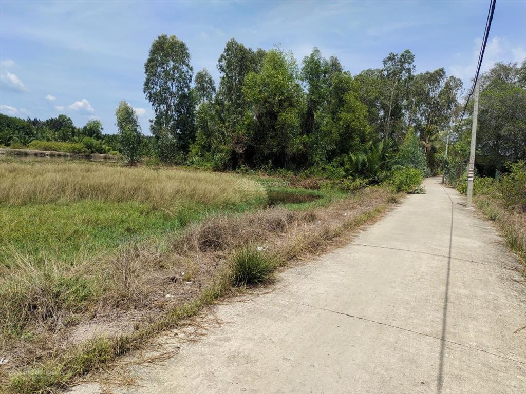 Giá ngộp bán gấp 3,9tỷ/1100m2 mặt tiền đường nông thôn cá súc, bình khánh, cần giờ