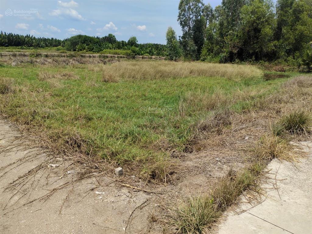 Giá ngộp bán gấp 3,9tỷ/1100m2 mặt tiền đường nông thôn cá súc, bình khánh, cần giờ
