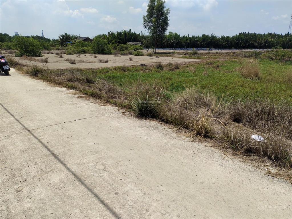 Giá ngộp bán gấp 3,9tỷ/1100m2 mặt tiền đường nông thôn cá súc, bình khánh, cần giờ
