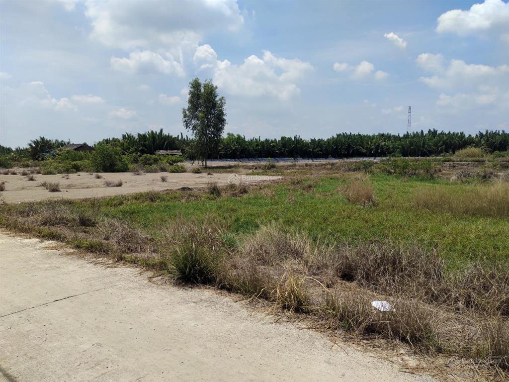 Giá ngộp bán gấp 3,9tỷ/1100m2 mặt tiền đường nông thôn cá súc, bình khánh, cần giờ
