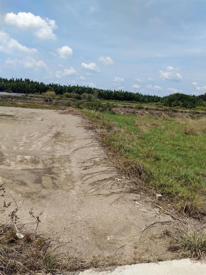 Giá ngộp bán gấp 3,9tỷ/1100m2 mặt tiền đường nông thôn cá súc, bình khánh, cần giờ