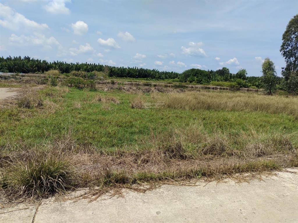 Giá ngộp bán gấp 3,9tỷ/1100m2 mặt tiền đường nông thôn cá súc, bình khánh, cần giờ