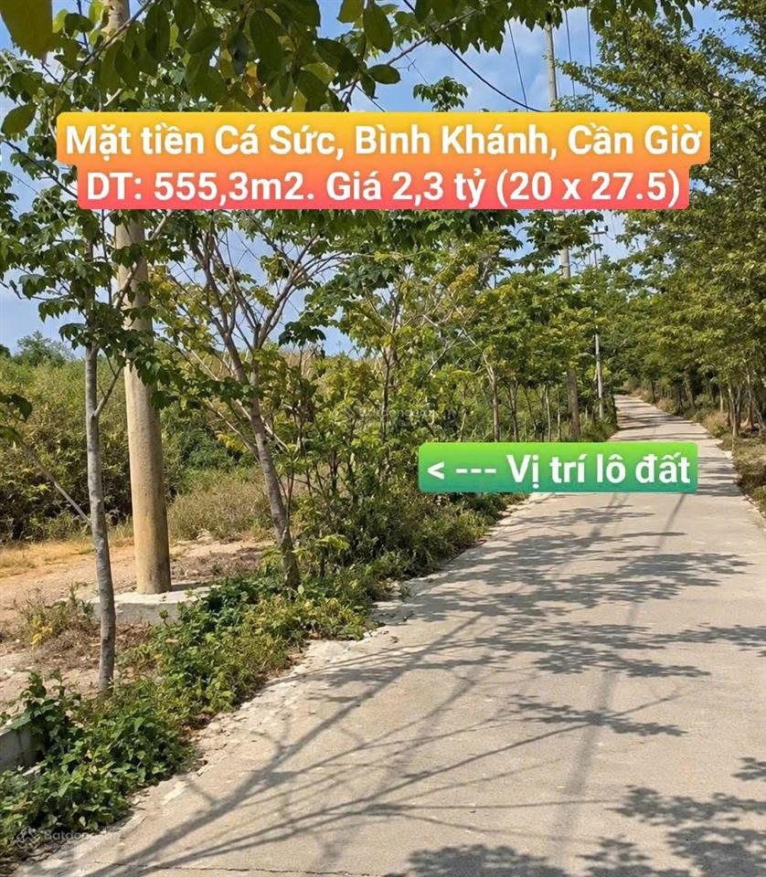 Bán gấp đất nền mt lô 1 đường ô tô cá sức 555,3 m2 chỉ 2,2 tỷ, chính chủ