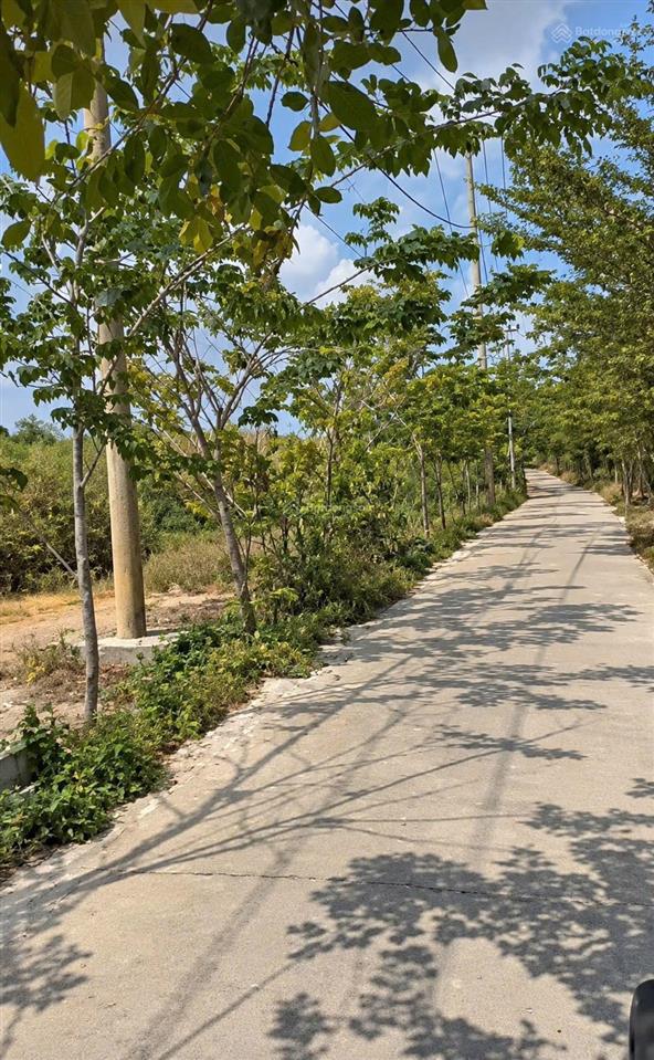 Bán gấp đất nền mt lô 1 đường ô tô cá sức 555,3 m2 chỉ 2,2 tỷ, chính chủ