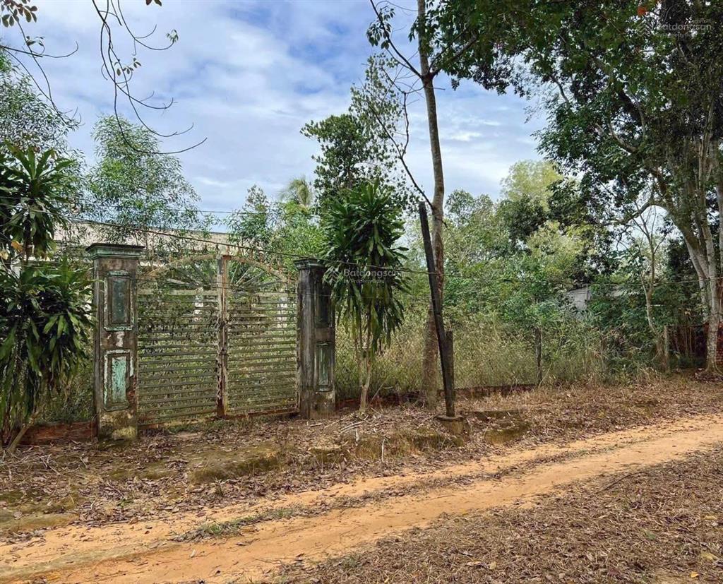 Quá rẻ và đẹp cho lô đất gần 5000m2 gần khu công nghiệp bàu bàng.không có lô thứ 2