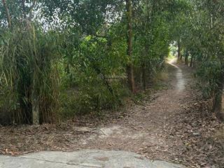 Bán 1.3 sào đất lô 2 nguyễn du  phước hội  lagi ( lâm đồng ) gần biển rẻ 50% 1.35 tỷ