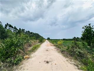 Bán 1 sào đất tân bình  lagi chỉ 700 triệu, sổ hồng riêng đường ô tô cách đường 719b khoảng 1km