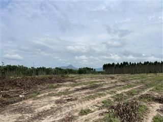 Bán 2000m2 đất lô 2 đường tránh 719b  tân bình  lagi giá rẻ nhất 500 triệu/ 1000m2 chính chủ