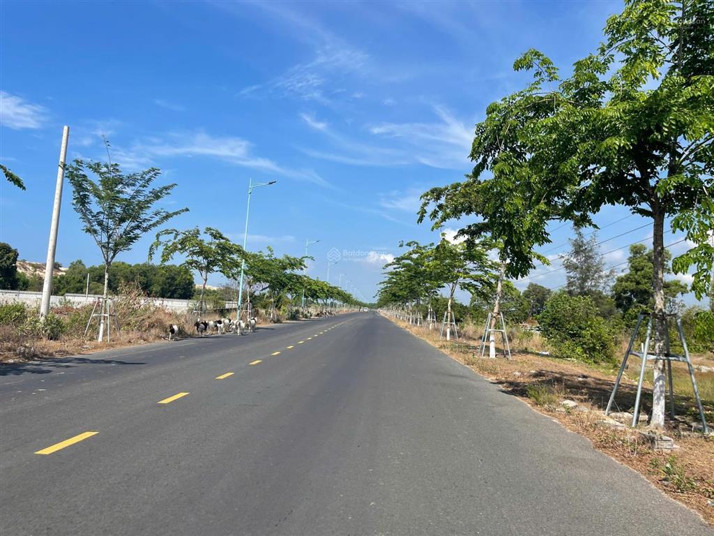 Bán 31m x 101m đất ont mặt tiền hùng vương  tân tiến  lagi view biển giá ngộp 400 triệu/m ngang