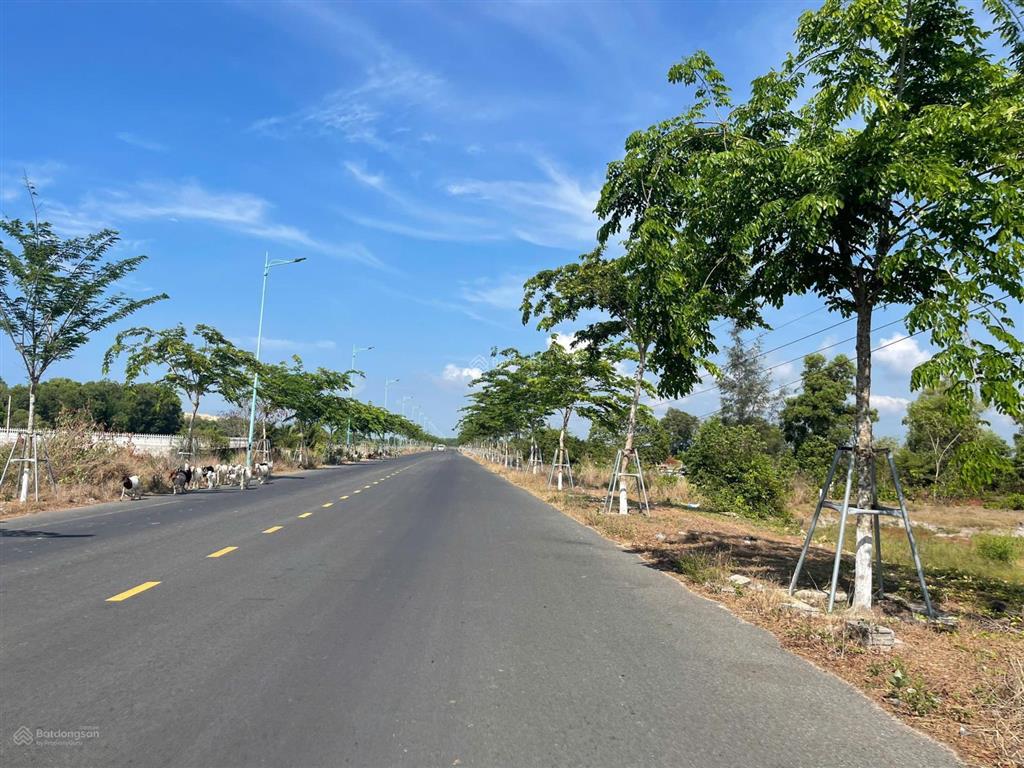 Bán 31m x 101m đất ont mặt tiền hùng vương  tân tiến  lagi view biển giá ngộp 400 triệu/m ngang