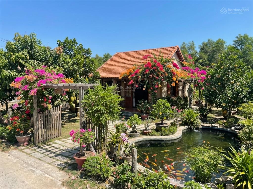 Bán 912m2 đất odt hẻm lý thương kiệt  phước hội  lagi giá mềm chính chủ