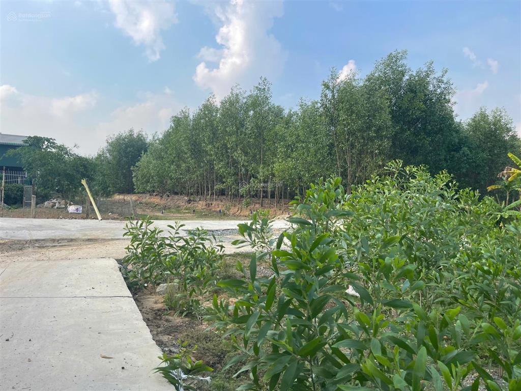 Bán 835m2 đất thổ cư đường bê tông 6m  tân hà  hàm tân 650 triệu sổ riêng