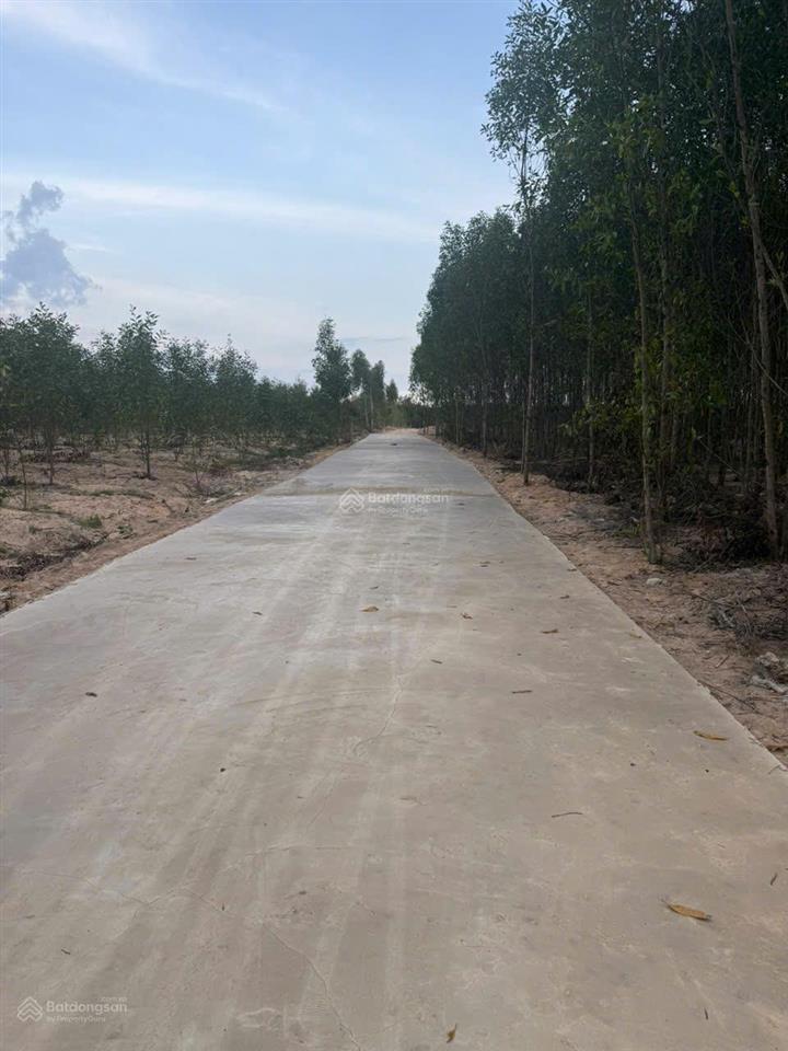 Bán 1148m2 đất tân xuân  hàm tân chỉ 400 triệu/ sào đường bê tông 6m