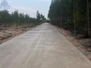 Bán 1148m2 đất tân xuân  hàm tân chỉ 400 triệu/ sào đường bê tông 6m