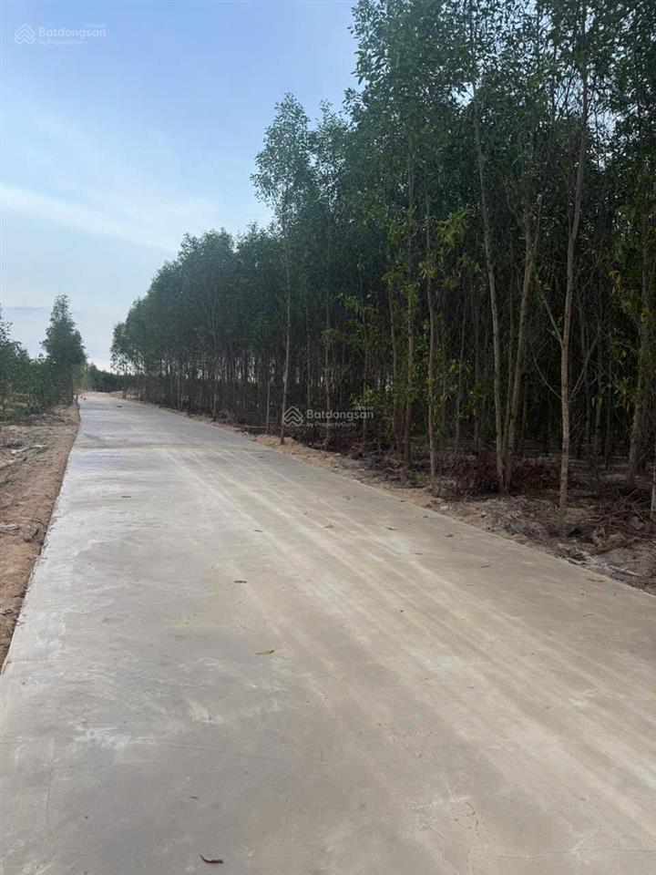 Bán 1148m2 đất tân xuân  hàm tân chỉ 400 triệu/ sào đường bê tông 6m