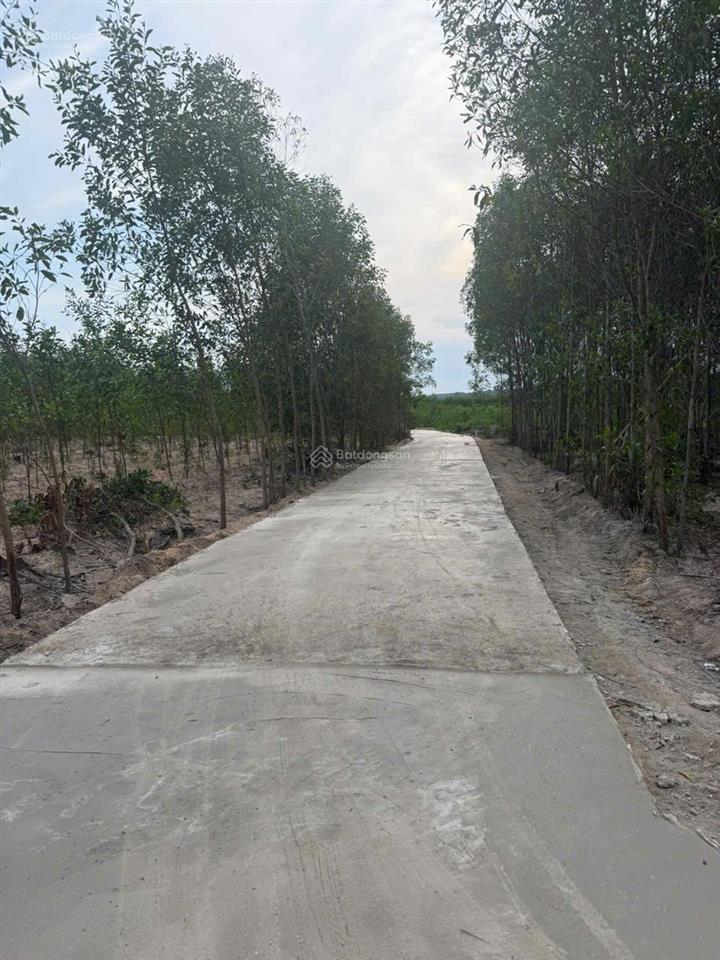 Bán 1148m2 đất tân xuân  hàm tân chỉ 400 triệu/ sào đường bê tông 6m