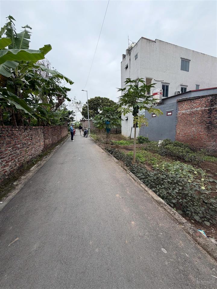 Bán đất 88m² tại đông dư, xã bát tràng, huyện gia lâm  đường ô tô